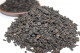 Comprar Taiwan Gaba oolong  tetería online