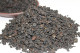Comprar Taiwan Gaba oolong  tetería online