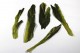 Buy Taiping Houkui green tea - Fresh Chinese Tea shop online - Tea house in Barcelona