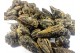Dianhong Bao Ta - Buy black tea online Fresh Chinese Tea