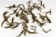 Golden Yunnan FOP Finest - Buy black tea online